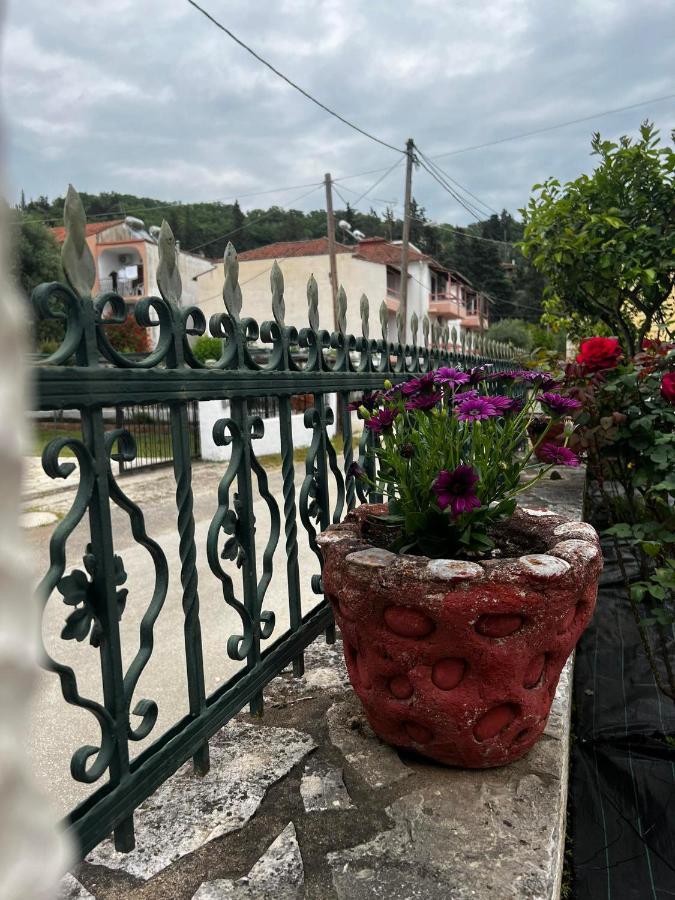 Dionysus Apartments & Studios Sívota المظهر الخارجي الصورة