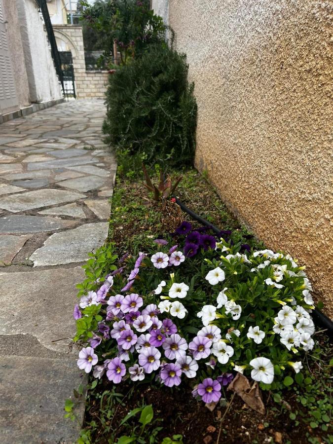 Dionysus Apartments & Studios Sívota المظهر الخارجي الصورة