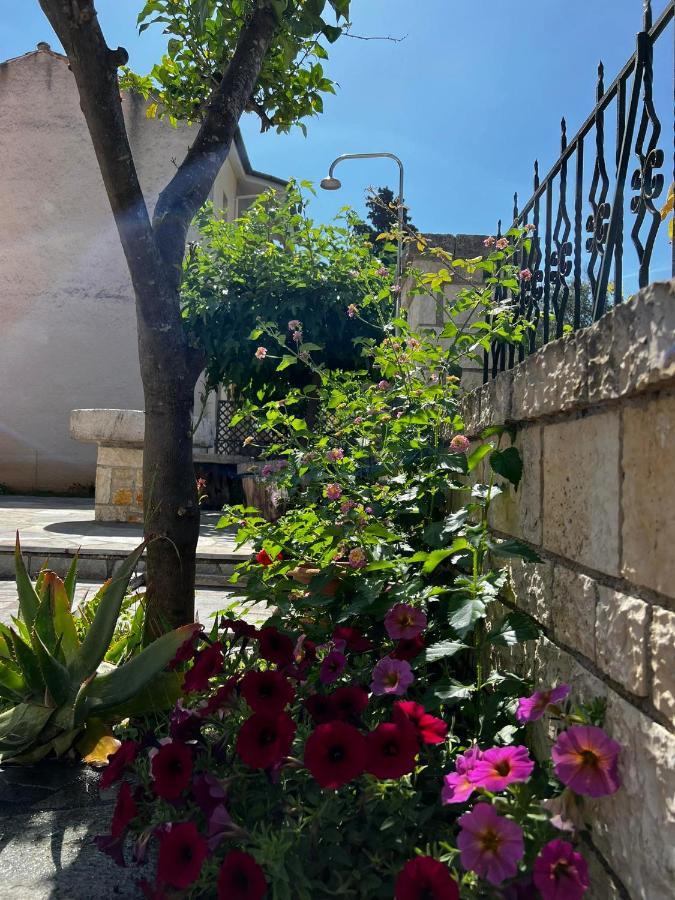 Dionysus Apartments & Studios Sívota المظهر الخارجي الصورة